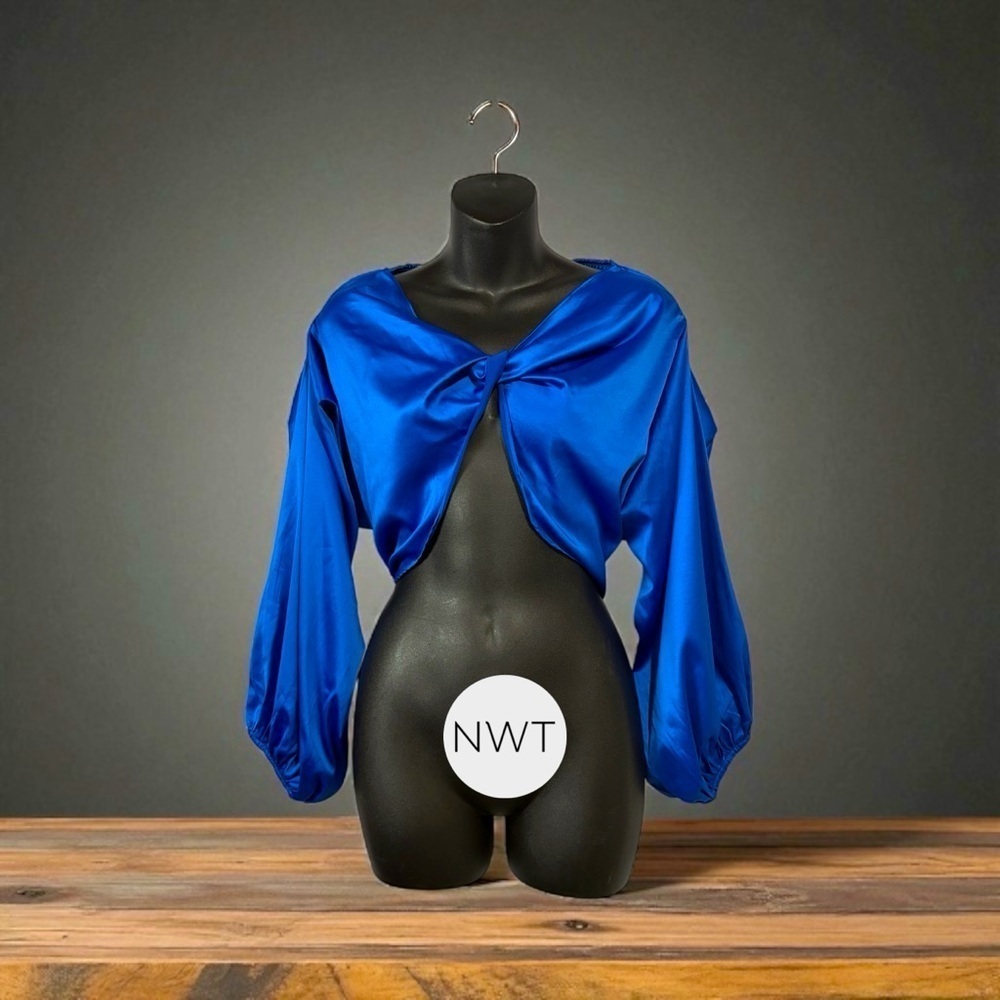 SHEIN SXY, Royal Blue Satin Long Sleeve Crop
Top, Medium / US 6